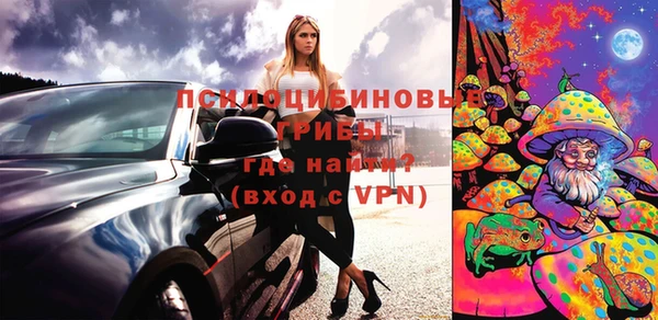 прущие грибы Алексин