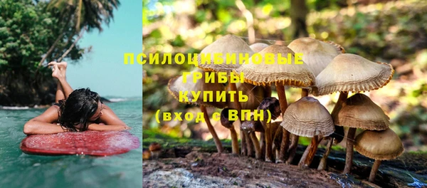 индика Алзамай