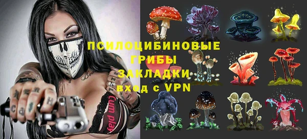 индика Алзамай