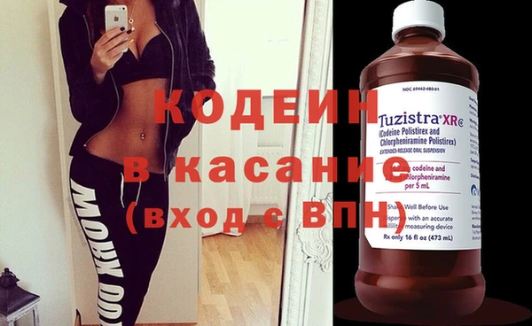 индика Алзамай
