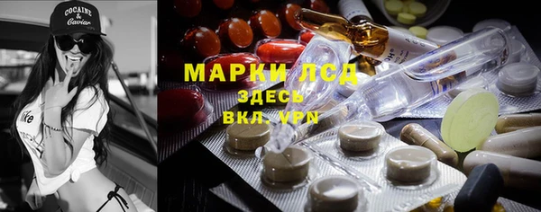 прущие грибы Алексин