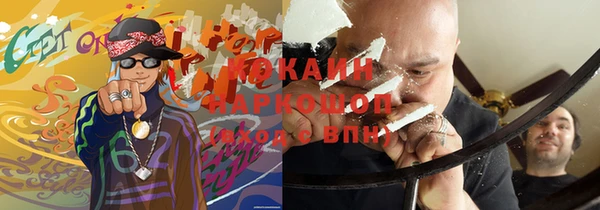 прущие грибы Алексин