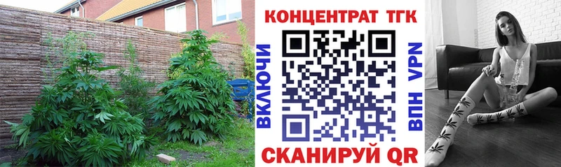 ТГК жижа  МЕГА онион  Арамиль 