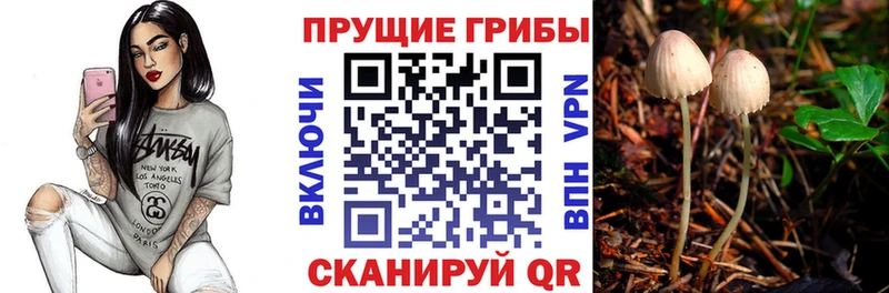 Псилоцибиновые грибы прущие грибы Арамиль