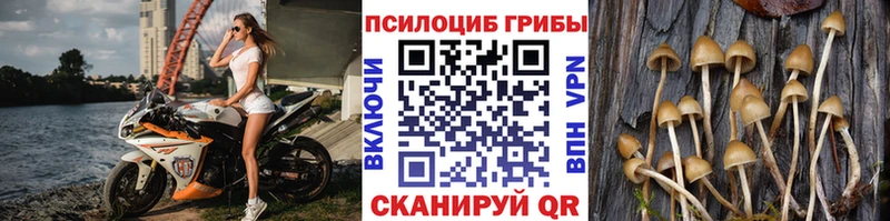 Псилоцибиновые грибы ЛСД  Арамиль 